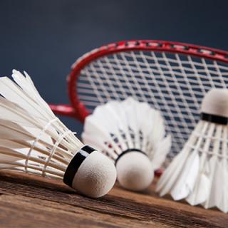 Lubuska Olimpiada Młodzieży Szkolnej w Badmintonie