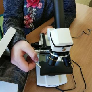 Nadace rozvoje nám pomohla získat mikroskopy