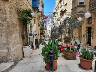 Malta - wyspa kotów i entuzjastów języka angielskiego 