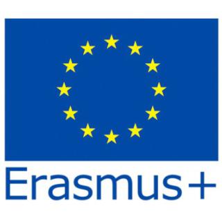 Realizacja projektów Erasmus+
