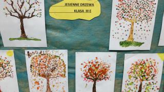 Klasa 3e – Jesienne drzewa 
