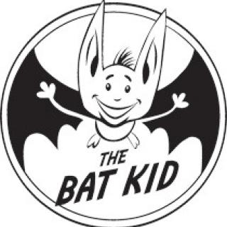 Wyniki Ogólnopolskiego Konkursu ze słuchania 'The Bat Kid'