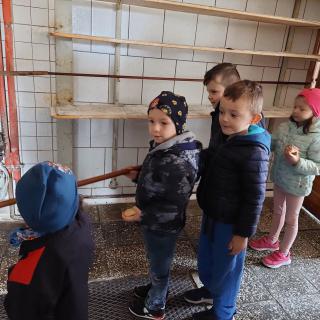 Wizyta przedszkolaków w piekarni Państwa Cichońskich w Olszanach