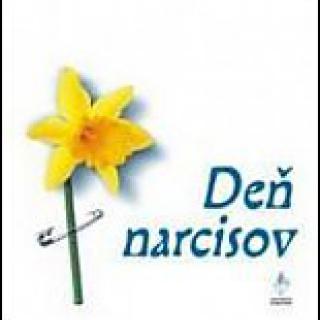 Žltý narcis - kvet jari a nádeje