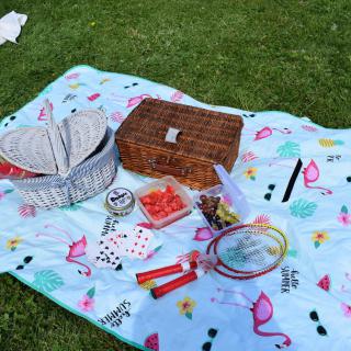 Piknik v ŠKD
