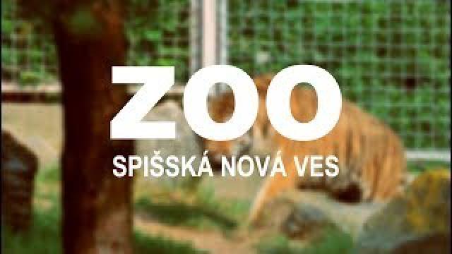 Výlet do Zoologickej záhrady v Spišskej Novej Vsi