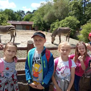 Z wizytą we wrocławskim zoo