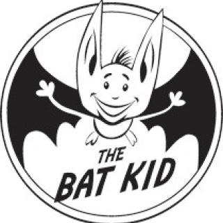 Sukcesy naszych  uczniów w ogólnopolskim konkursie z języka angielskiego The Bat Kid.