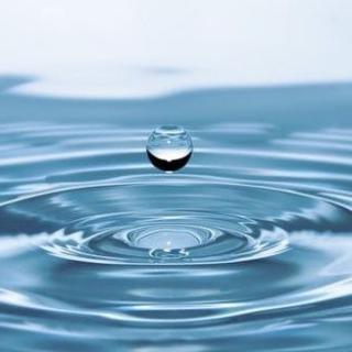 Světový den vody