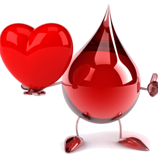Valentínska kvapka krvi na Gymnáziu Andreja Kmeťa v Banskej Štiavnici – 26. február 2019