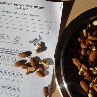 Känguru der Mathematik 2017