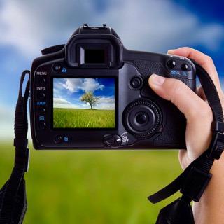 Konkurs fotograficzny „W poszukiwaniu wiosny”