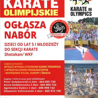 Zajęcia Karate Olimpijskie Bushi-Do